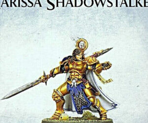 Larissa Shadowstalker - Knight-Questor